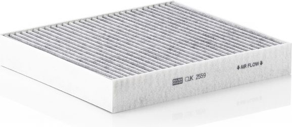  filtras, salono oras