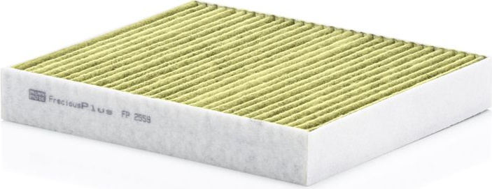  filtras, salono oras