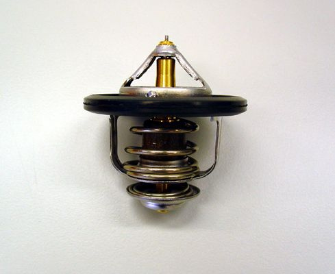  termostatas, aušinimo skystis