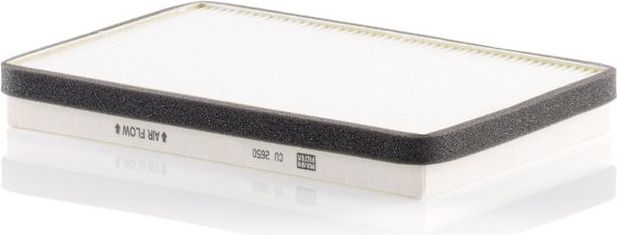  filtras, salono oras