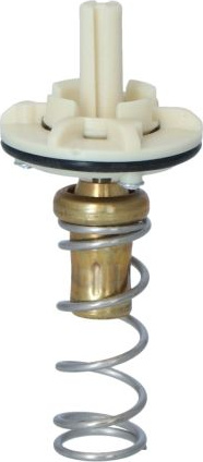  termostatas, aušinimo skystis