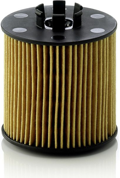  alyvos filtras