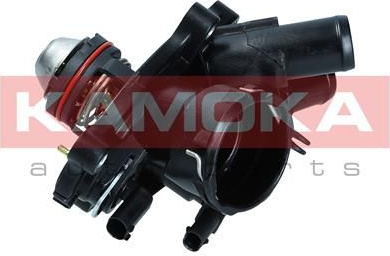  termostatas, aušinimo skystis