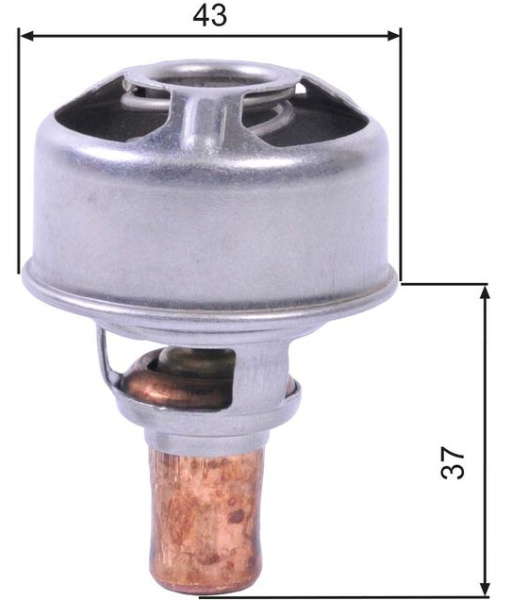  termostatas, aušinimo skystis