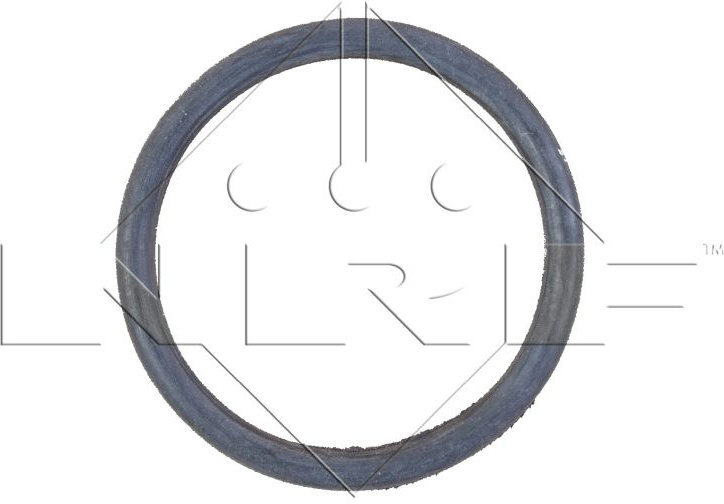  radiatorius, variklio aušinimas