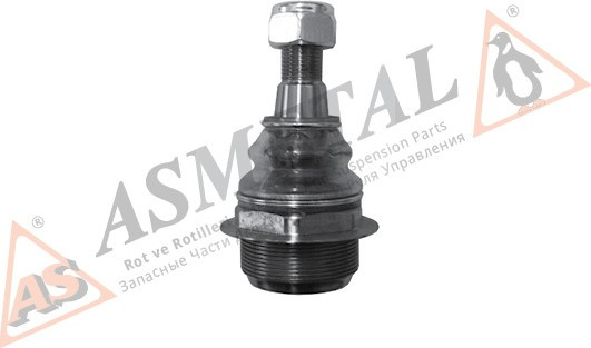 Renault Master III 2.3dCi 10- apatinis , kūgis 18mm