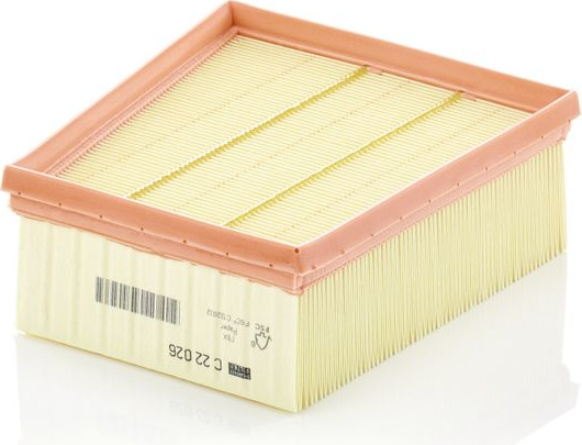  oro filtras