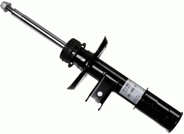  amortizatorius