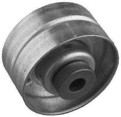 CITR/PEU 2.0/2.2 16V 2000- su skyle metalinis