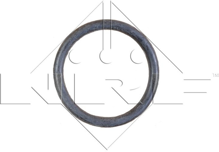  radiatorius, variklio aušinimas