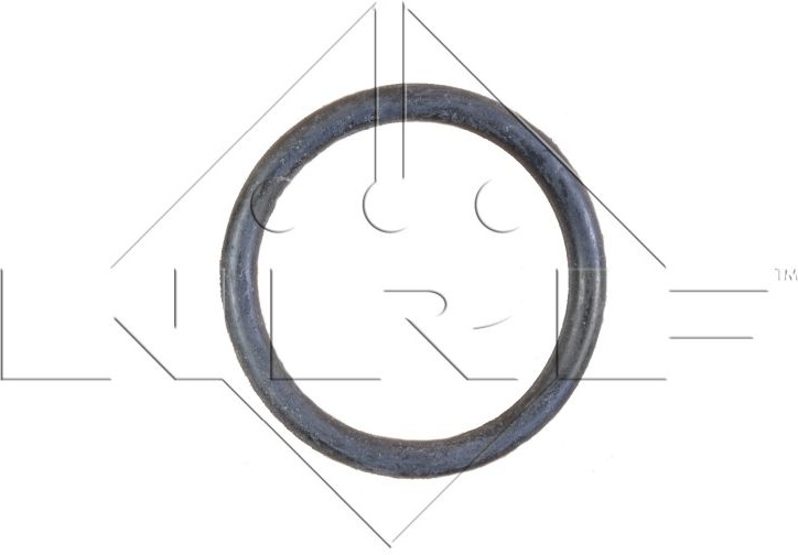  radiatorius, variklio aušinimas