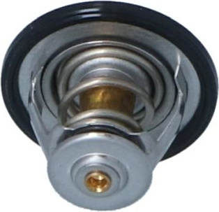  termostatas, aušinimo skystis
