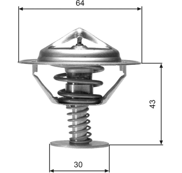  termostatas, aušinimo skystis