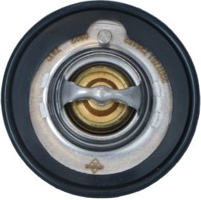  termostatas, aušinimo skystis