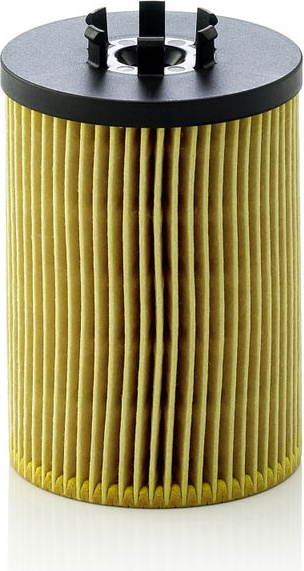  alyvos filtras