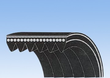 Diržas Koshimo 6PK1565