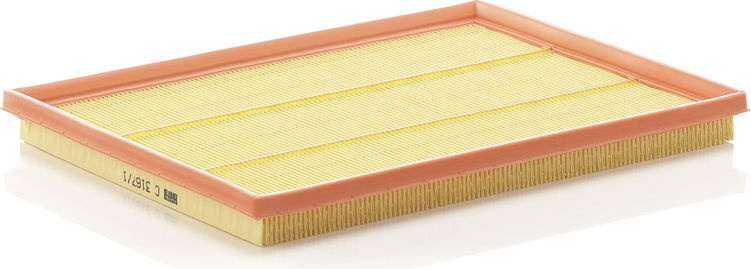  oro filtras