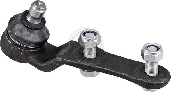  Šarnyras / girgždukas