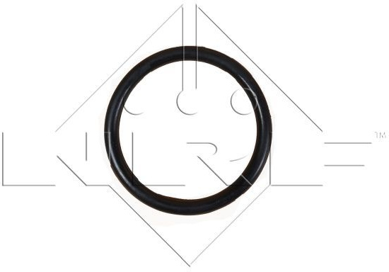  radiatorius, variklio aušinimas
