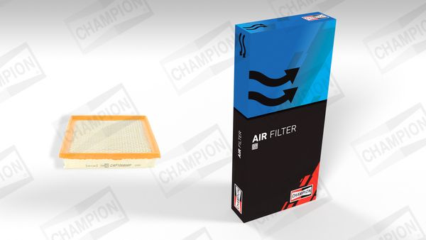  oro filtras