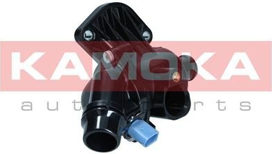  termostatas, aušinimo skystis