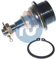  Šarnyras / girgždukas