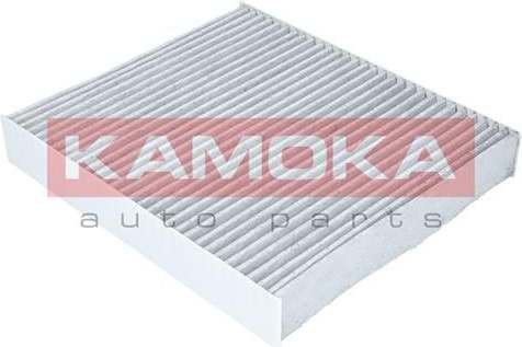  filtras, salono oras