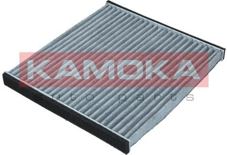  filtras, salono oras