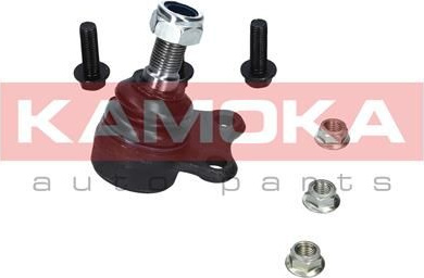  Šarnyras / girgždukas