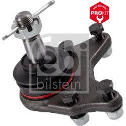  Šarnyras / girgždukas