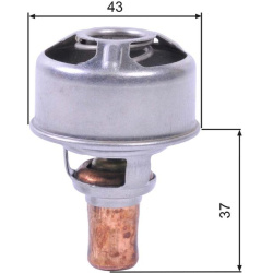  termostatas, aušinimo skystis