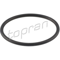  tarpiklis, termostatas