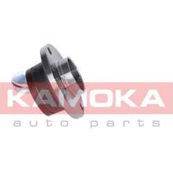  rato guolio komplektas