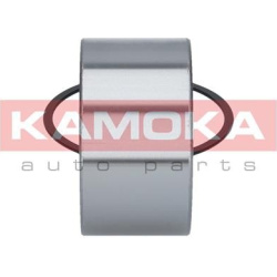  rato guolio komplektas