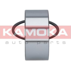  rato guolio komplektas