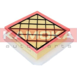 oro filtras