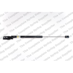  dujinė spyruoklė, bagažinė