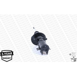  amortizatorius