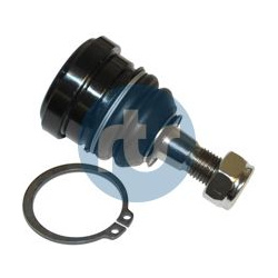  Šarnyras / girgždukas