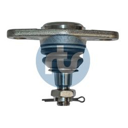  Šarnyras / girgždukas