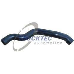  žarna, karterio alsuoklis