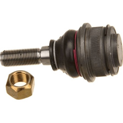  Šarnyras / girgždukas