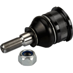  Šarnyras / girgždukas