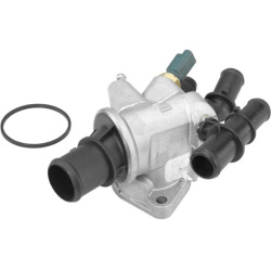  termostatas, aušinimo skystis