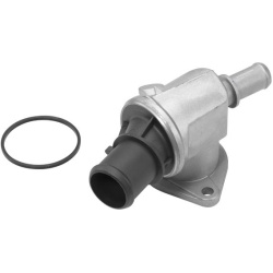  termostatas, aušinimo skystis