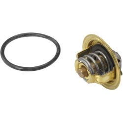  termostatas, aušinimo skystis