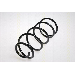 Ford Focus 04- 1.4/1.6 priekio