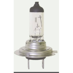 2407003 H7 24V 70W PX26d halogeninė