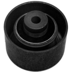 CITR/PEUG 1.6 16V 2001- rolikas su skyle