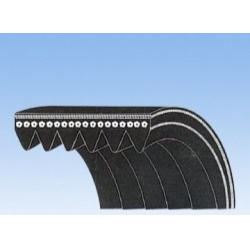 Diržas FLENNOR 6PK1010
